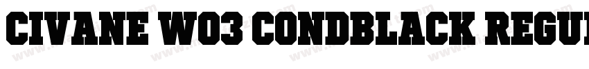 Civane W03 CondBlack Regular字体转换